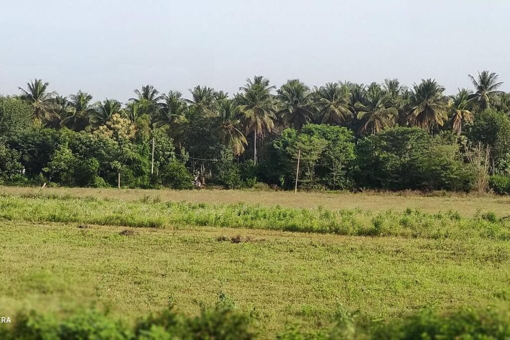 Kolluri Nivasa Entire Ff Bunglow, Garden, Green Surrounding, Hall Villa Mysore Exterior foto